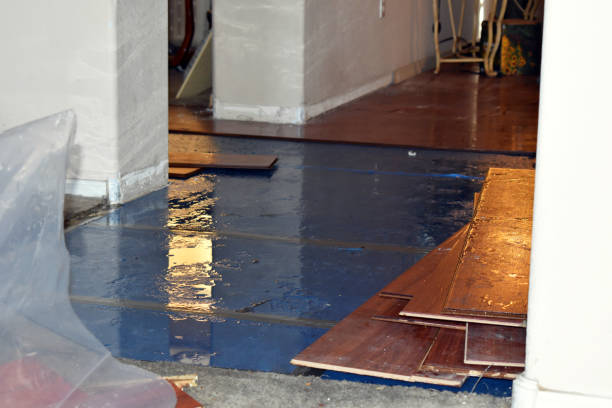Professional Flood Damage Repair technician working in Sand Lake, NY